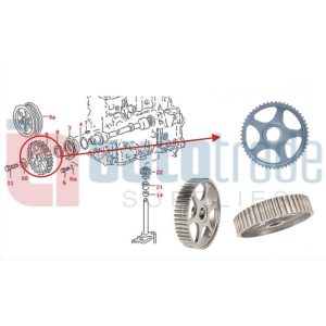 CAMSHAFT TIMING GEAR (44T)