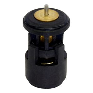 THERMOSTAT (87 DEGREE)