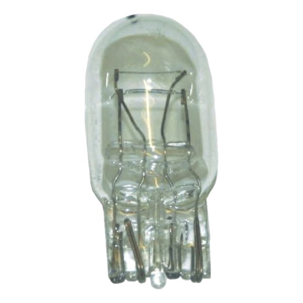 GLOBE (PRICE PER 10PC)