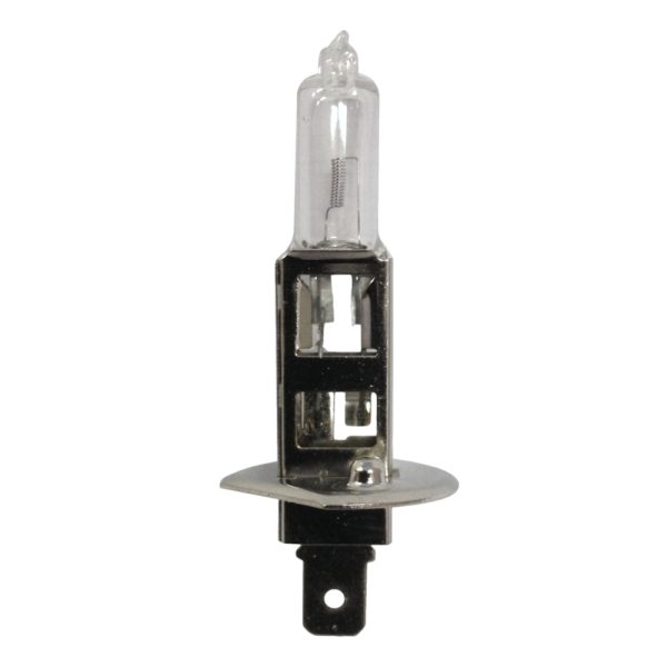 GLOBE (H1-12V-55W)