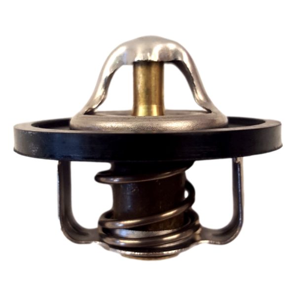 THERMOSTAT (87*)