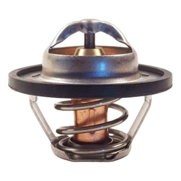 THERMOSTAT (89*)