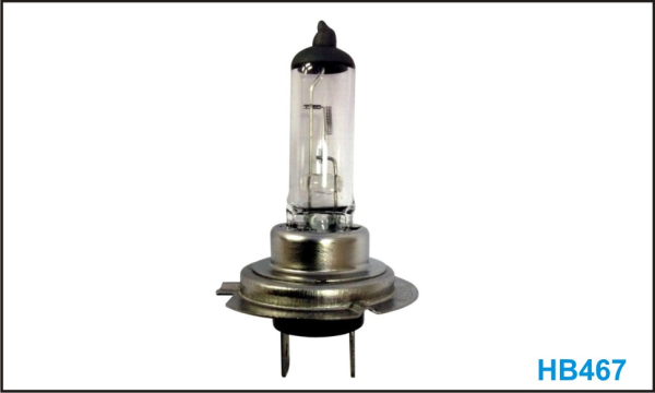 GLOBE (H7-12V-55W)