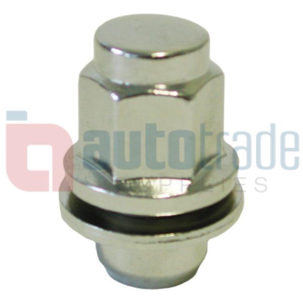 HUB STUD NUT   (10PC)