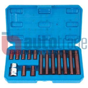 BIT SET HEX TYPE 1/2 INCH (15PC)
